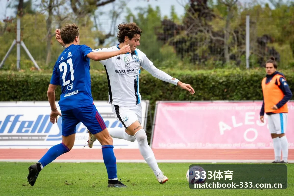 333体育专业赛事数据平台