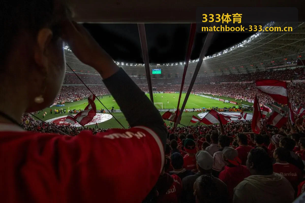 333体育规则指南